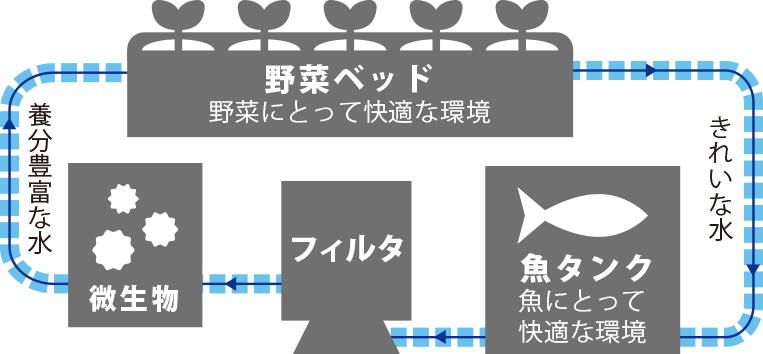 アクポニの仕組み